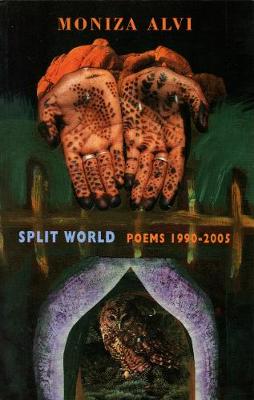 Book cover for Split World