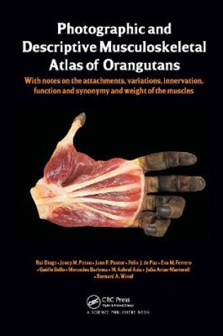 Cover of Photographic and Descriptive Musculoskeletal Atlas of Orangutans