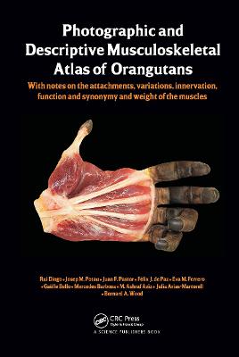 Book cover for Photographic and Descriptive Musculoskeletal Atlas of Orangutans