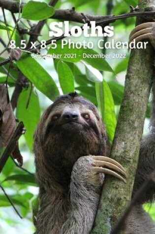 Cover of Sloths 8.5 X 8.5 Calendar September 2021 -December 2022
