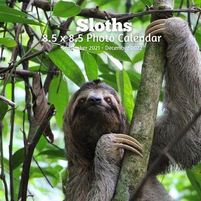 Book cover for Sloths 8.5 X 8.5 Calendar September 2021 -December 2022