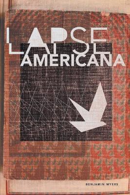 Book cover for Lapse Americana