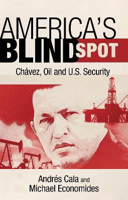 Book cover for America's Blind Spot