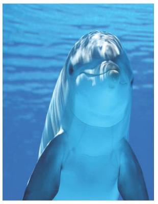 Cover of Dolphin