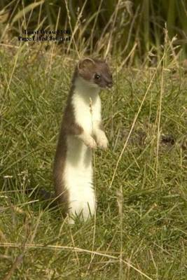 Book cover for Least Weasel 100 Page Lined Journal