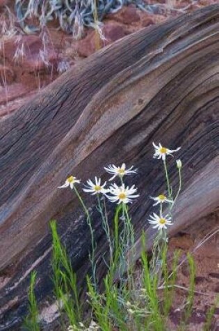 Cover of Wild Flowers and a Weathered Log along a Hiking Trail Nature Journal