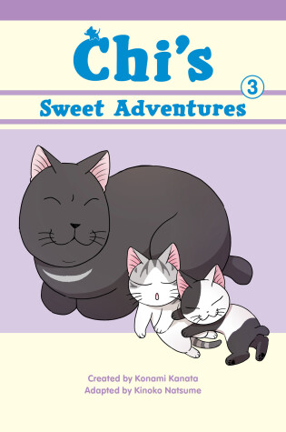 Cover of Chi's Sweet Adventures, 3