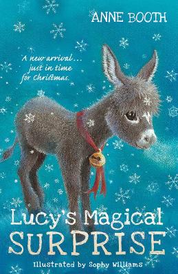 Book cover for Lucy's Magical Surprise