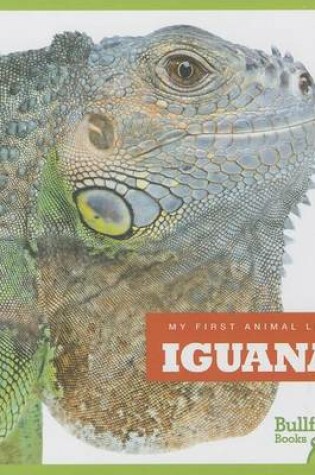 Cover of Iguanas