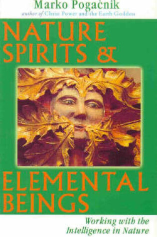 Cover of Nature Spirits and Elemental Beings