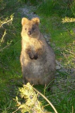 Cover of Quokka Journal