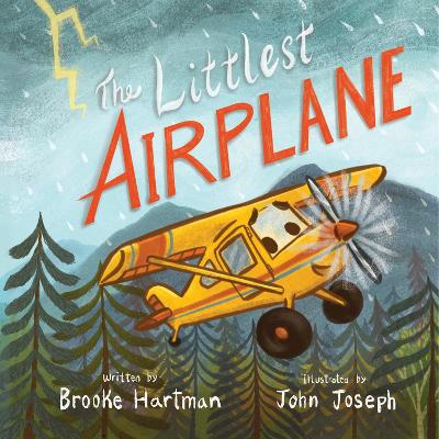 Book cover for The Littlest Airplane