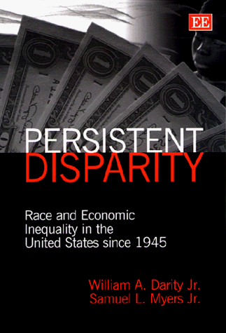 Book cover for persistent disparity