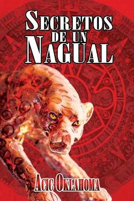 Book cover for Secretos de un Nagual