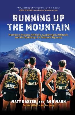 Book cover for Running Up the Mountain