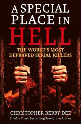 Book cover for A Special Place in Hell