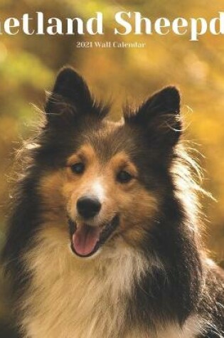 Cover of Shetland Sheepdog 2021 Wall Calendar