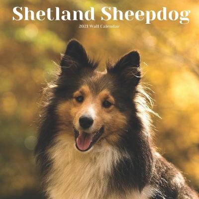 Book cover for Shetland Sheepdog 2021 Wall Calendar