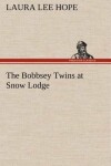 Book cover for The Bobbsey Twins at Snow Lodge