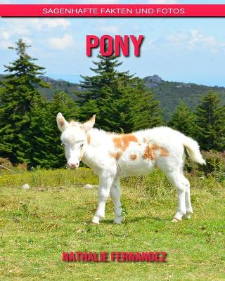 Book cover for Pony