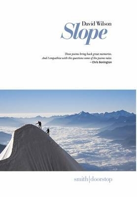 Book cover for Slope