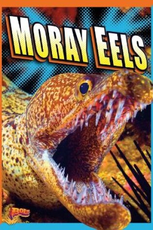 Cover of Moray Eels