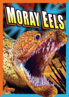 Cover of Moray Eels