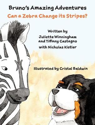 Book cover for Can a Zebra Change its Stripes?