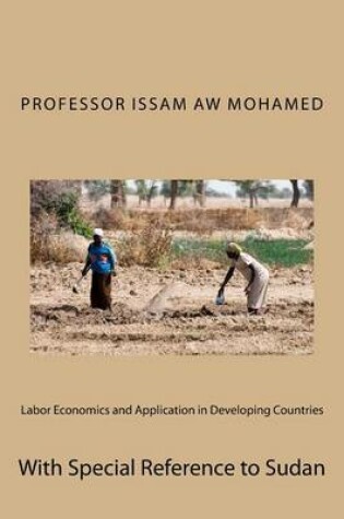 Cover of Labor Economics and Application in Developing Countries