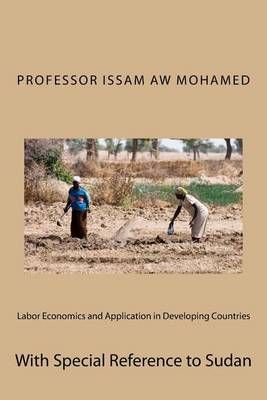 Book cover for Labor Economics and Application in Developing Countries