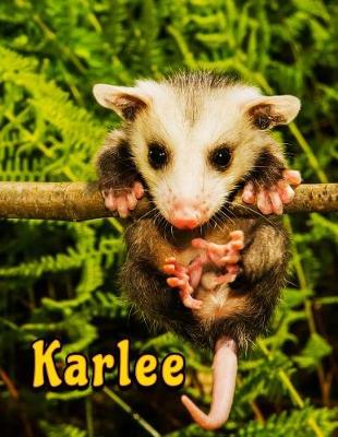 Book cover for Karlee