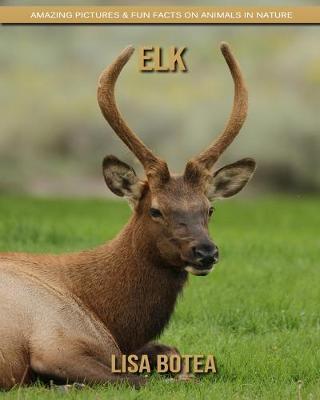 Book cover for Elk