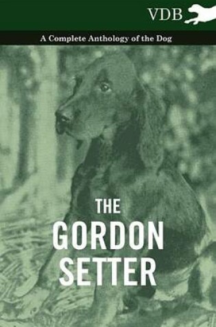 Cover of The Gordon Setter - A Complete Anthology of the Dog