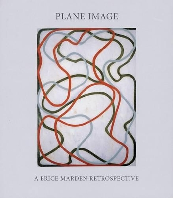 Book cover for Plane Image: A Brice Marden Retrospective