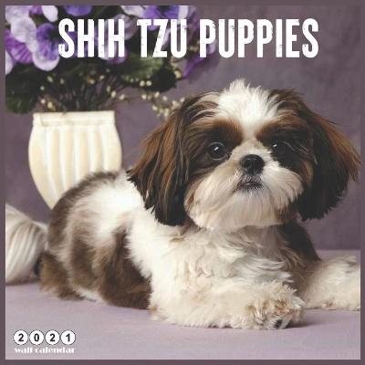 Book cover for Shih Tzu Puppies 2021 Wall Calendar