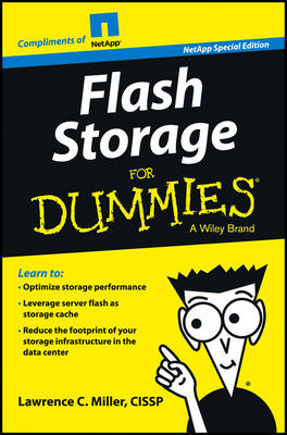 Book cover for Flash Storage for Dummies (Custom)