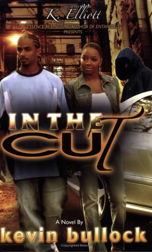 Book cover for In the Cut