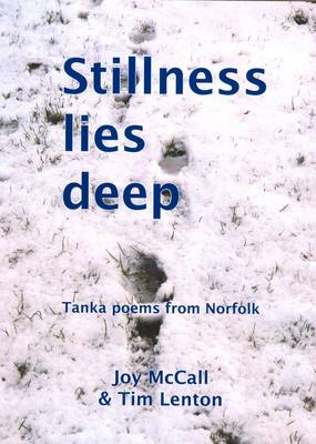 Book cover for Stillness Lies Deep