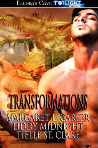 Cover of Transformations