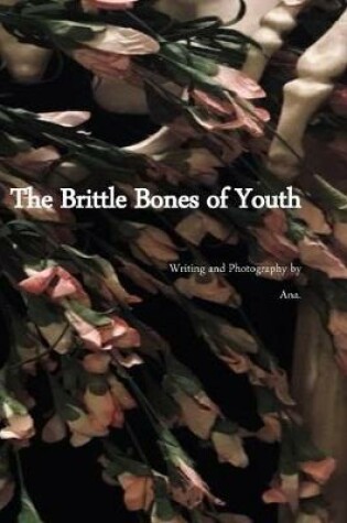 Cover of The Brittle Bones of Youth