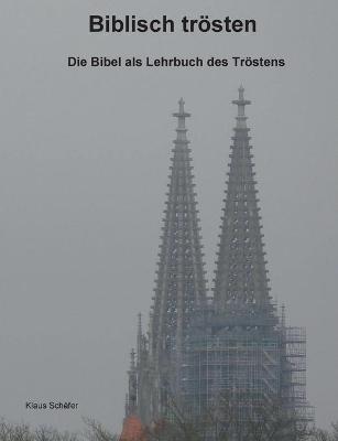 Book cover for Biblisch troesten