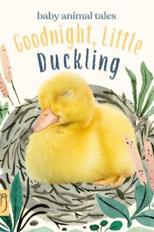 Cover of Goodnight, Little Duckling