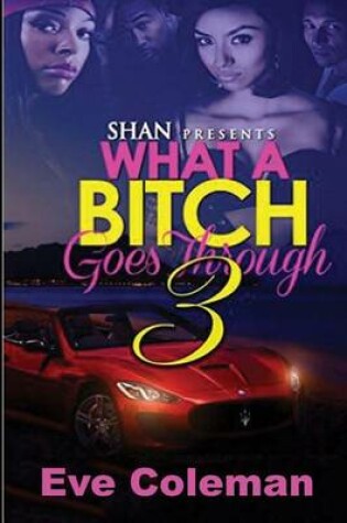 Cover of What a Bitch Goes Through 3