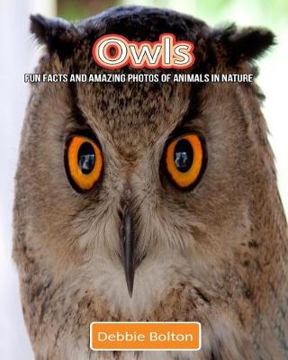 Book cover for Owls