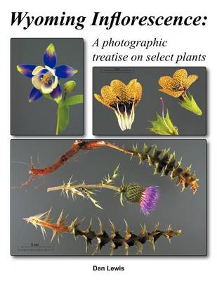 Book cover for Wyoming Inflorescence