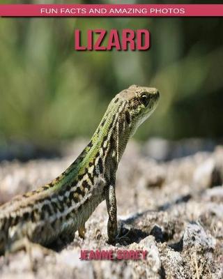 Book cover for Lizard