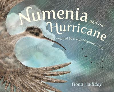 Cover of Numenia and the Hurricane