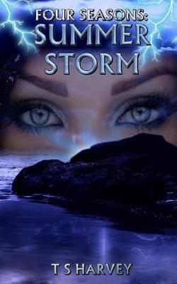 Book cover for Summer Storm