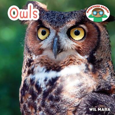 Cover of Owls