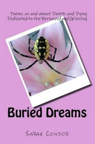 Cover of Buried Dreams